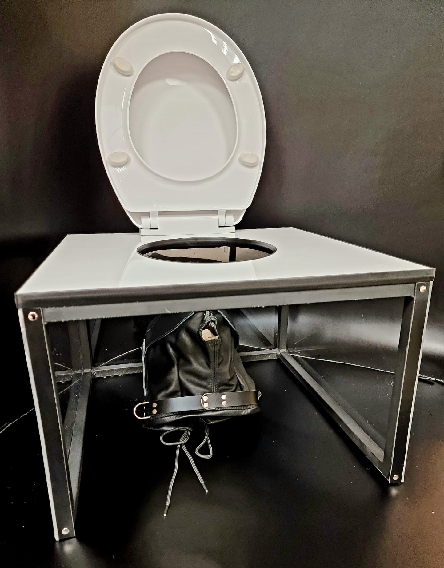 CLEAR-Toilet Cube-QUEENING BOX-genuine BDSM KINK equipment