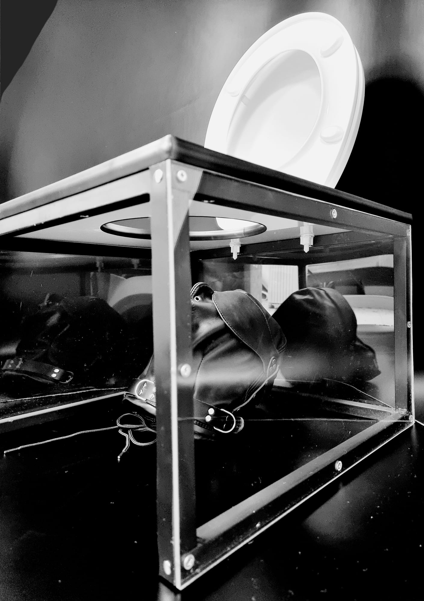 CLEAR-Toilet Cube-QUEENING BOX-genuine BDSM KINK equipment