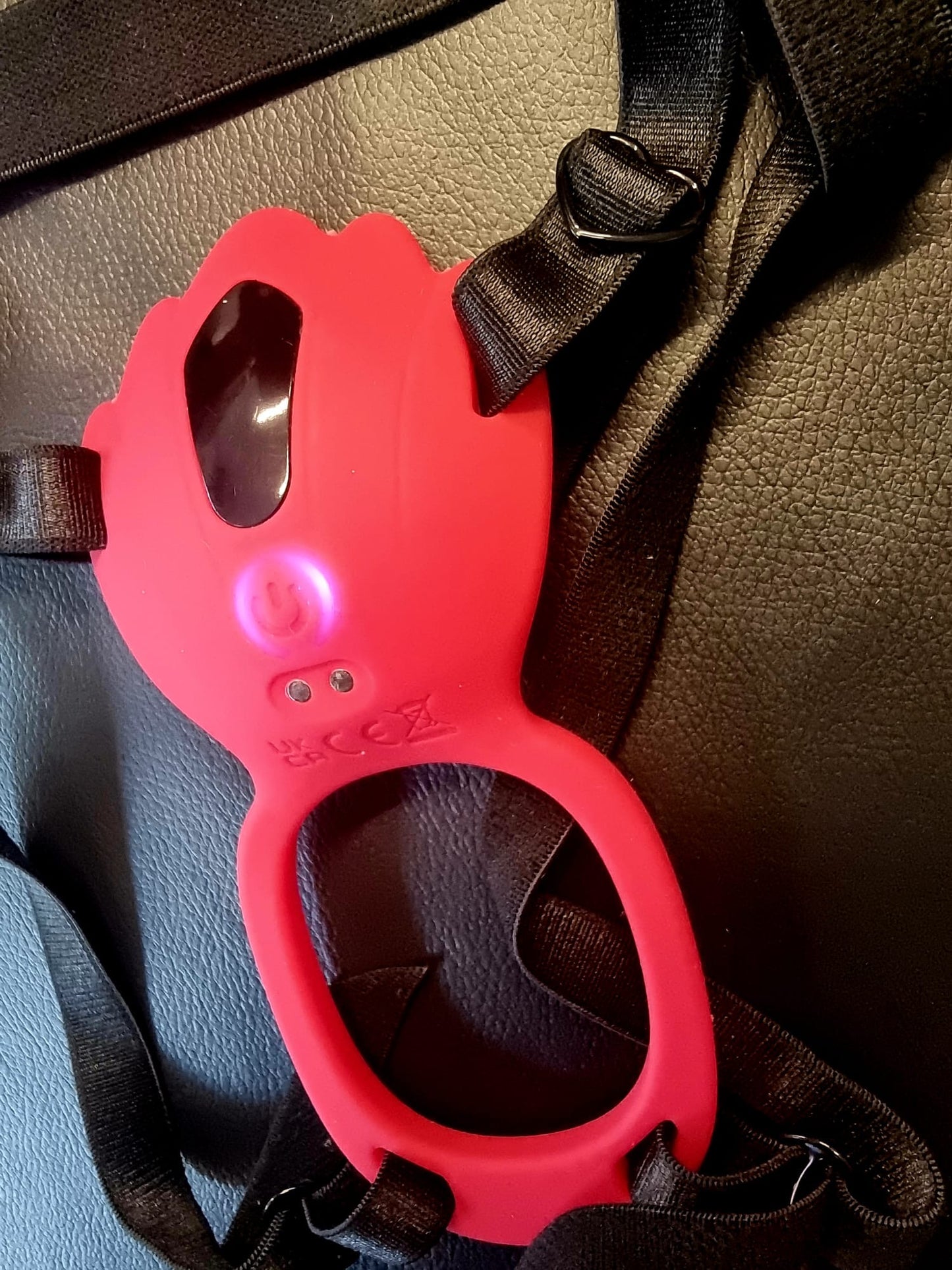 Panty and Playtime Vibrator