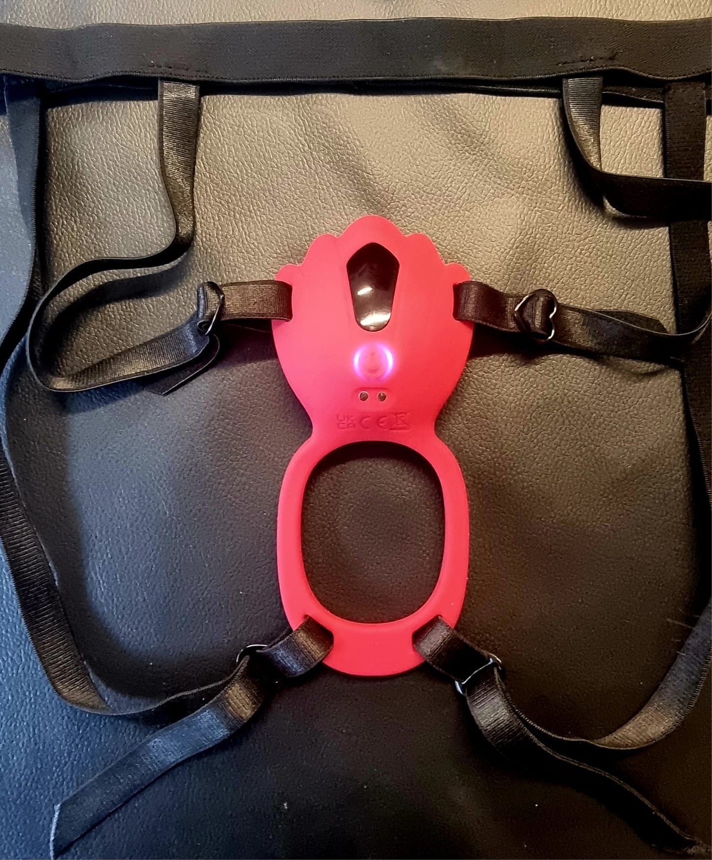 Panty and Playtime Vibrator